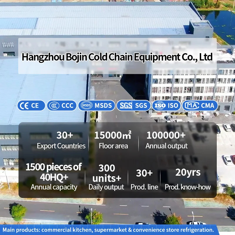 custom.BoJin Gewerbliche Kühlv – Refrigerated Display Case Bewertung und Preis